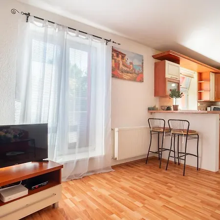 Comfy 1br شقة براتسيلافا